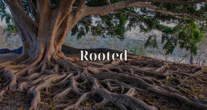 Rooted