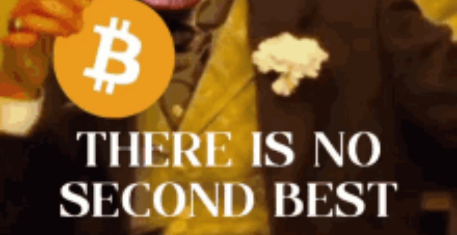 Saylor Series - The Genesis