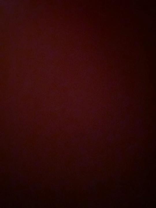 Marie Elcie Bien-aimé