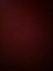 Marie Elcie Bien-aimé