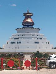 Pujan Shrestha
