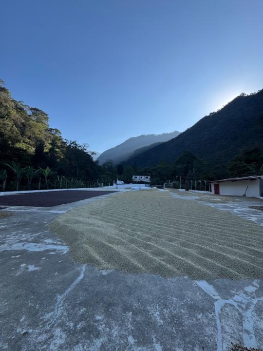 Juan José Ariano Reyes