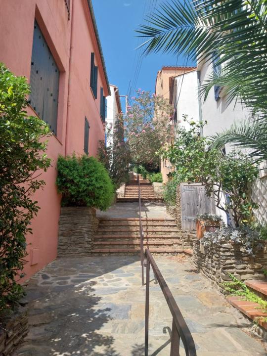 Alicia Traba Córdoba