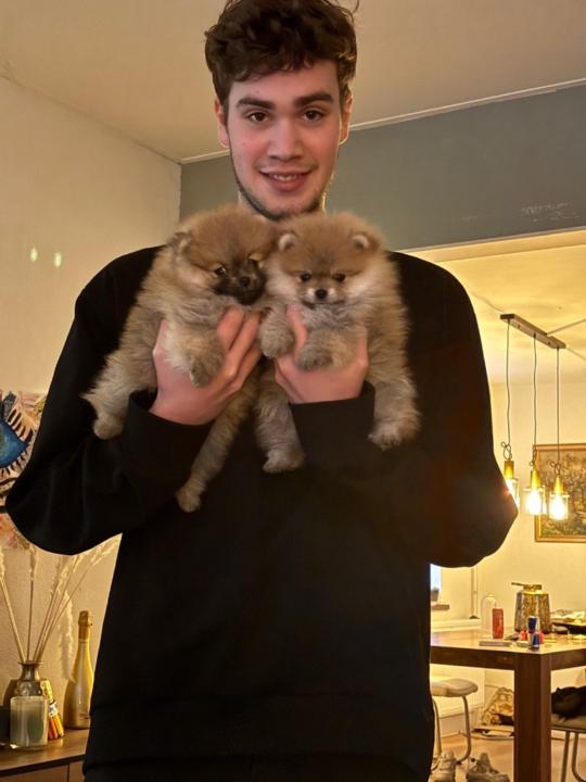Dylan Broux
