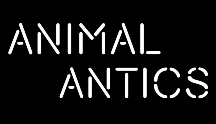 🐾 !Welcome to Animal Antics! 🐾