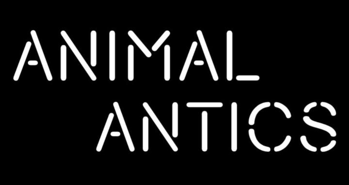 Animal Antics-Furry Fandom Fun