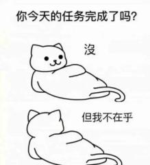 Conny Gu