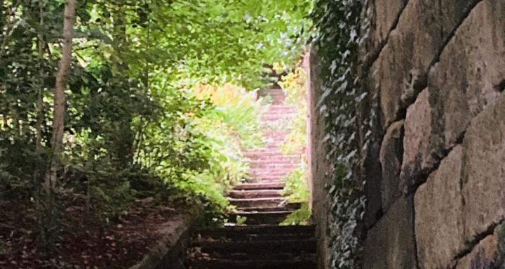 West Hull Natural Health