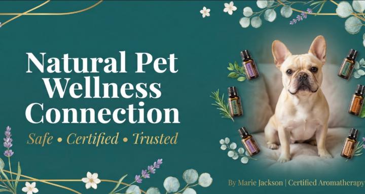 Natural Pet Wellness Connect