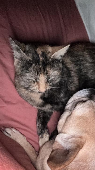 Sleepy time snuggles