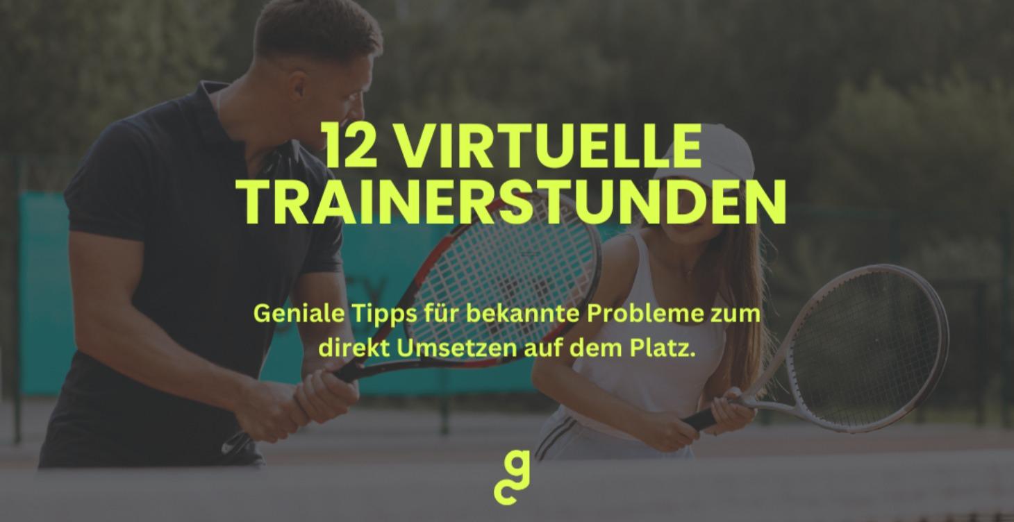 12 virutelle Trainerstunden