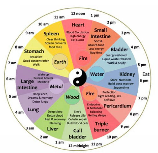 Chinese Medicine (TCM)