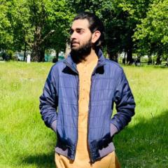 Ali Tariq Lodhi