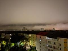 Petrovici-Duma Gabriela