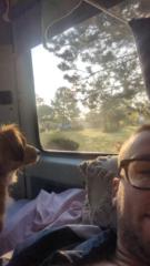 Elias Greven