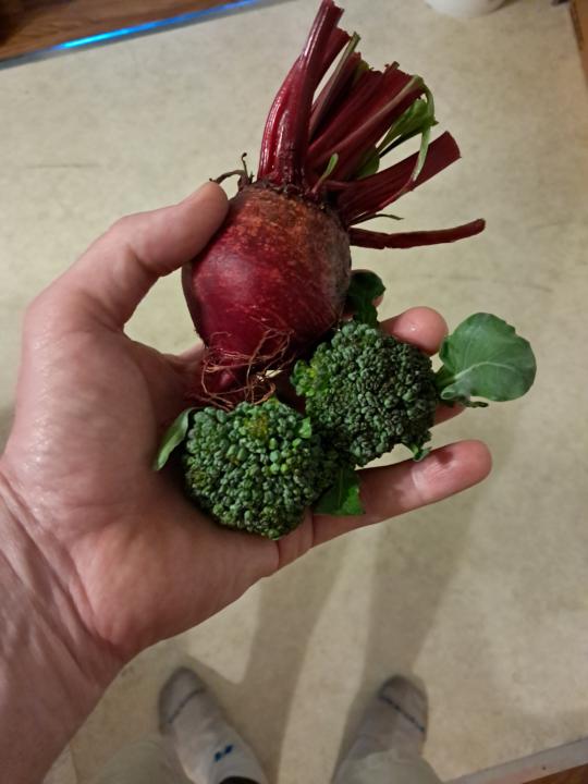 When To Plant? 