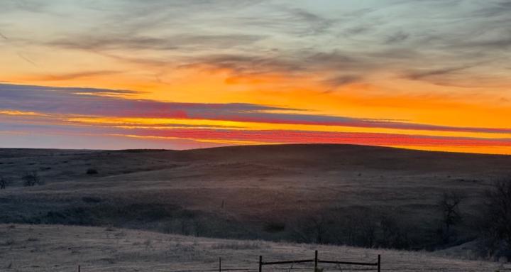 Rodeo Strategy plan & reflect