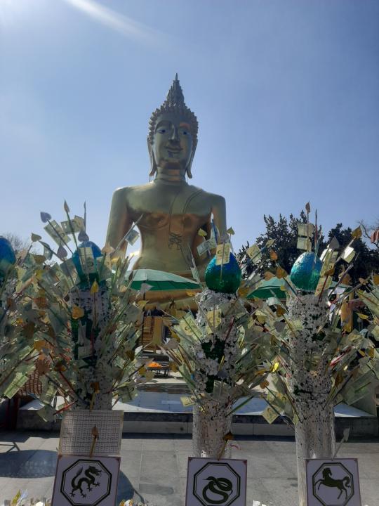 In the land of Buddha