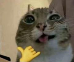 Bode Chan