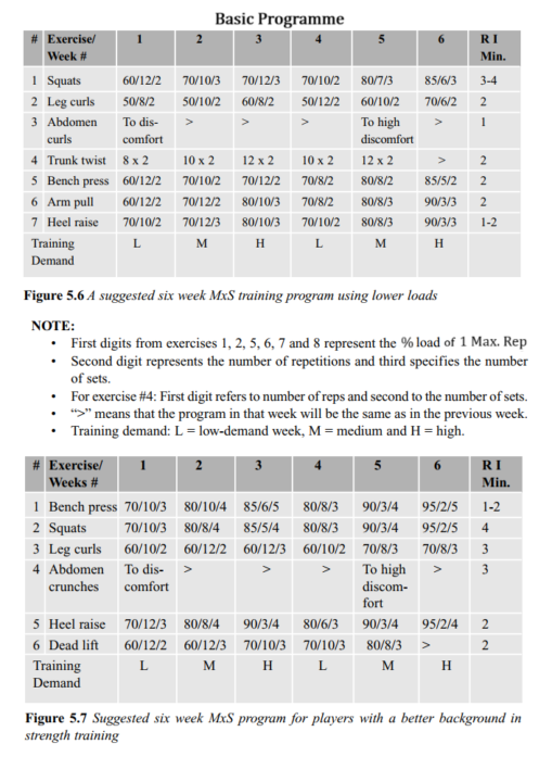 Periodization in Rugby
