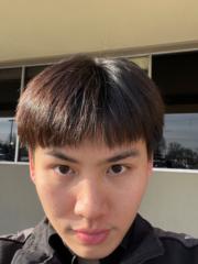 Luan Dinh