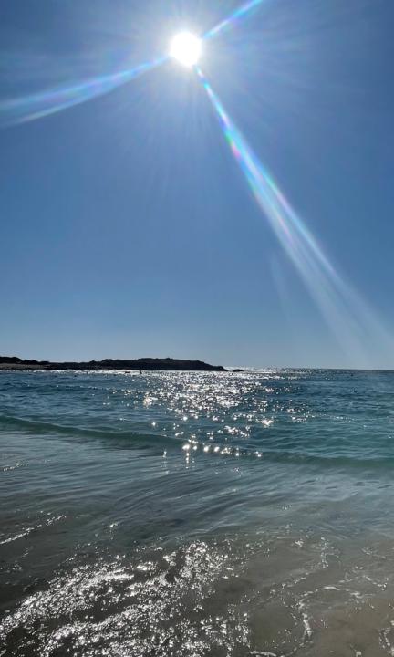 דנה מזרחי