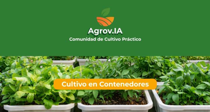 Cultivo en Contenedores