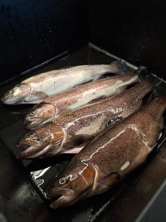 Florian Knöchelmann