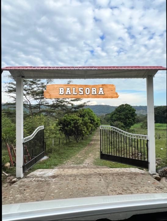 Juan David Rodriguez