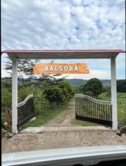 Juan David Rodriguez