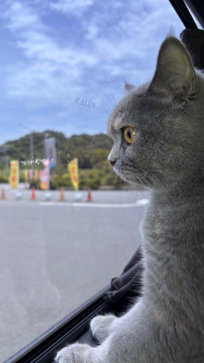 郭 佩妮