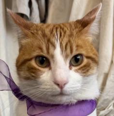 Sol Fernanda Rivera Maureira