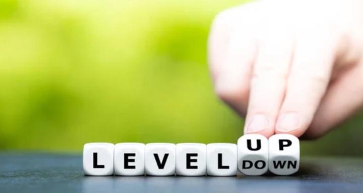 Level Up School