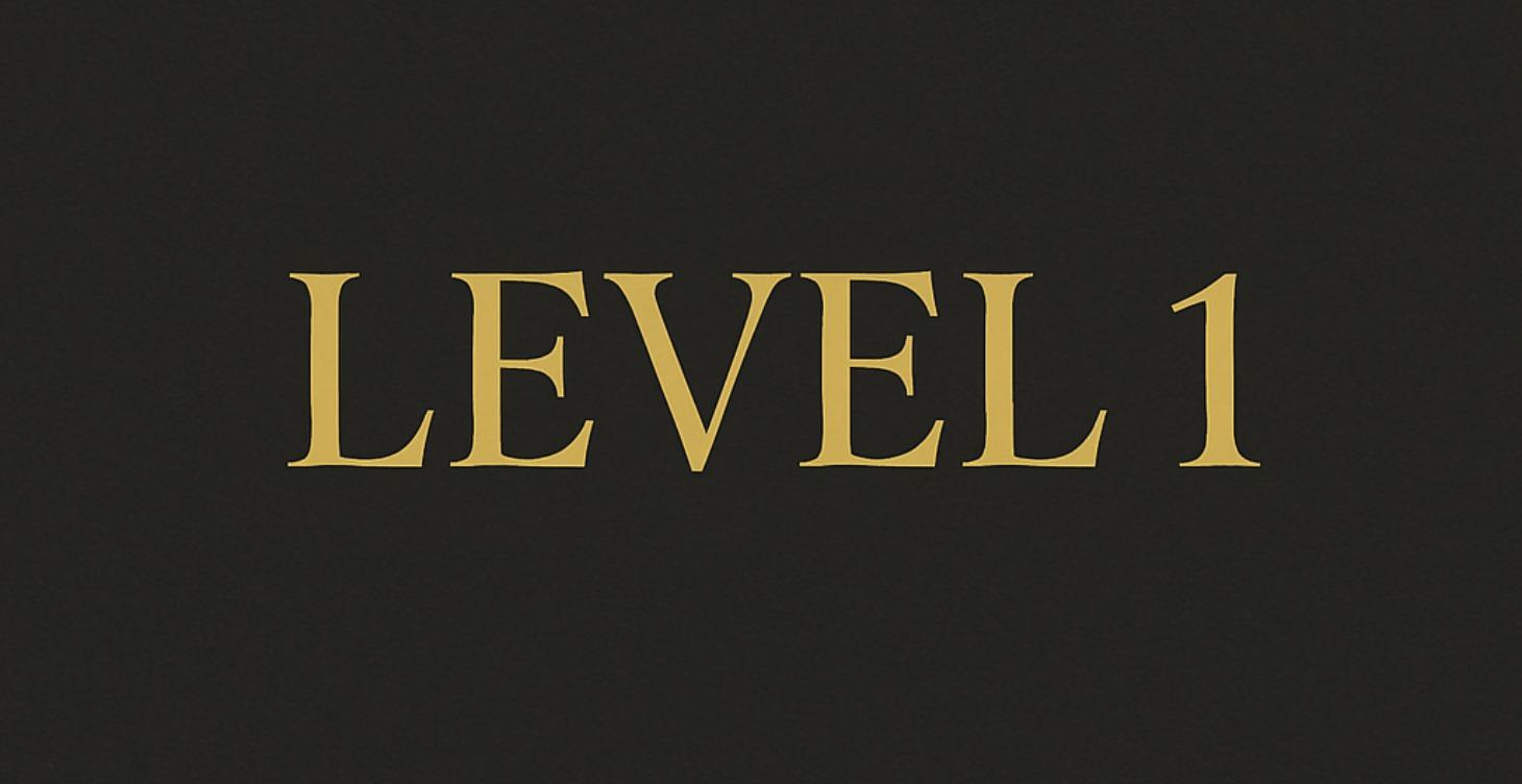 Level 1: What Money Is and How it Works