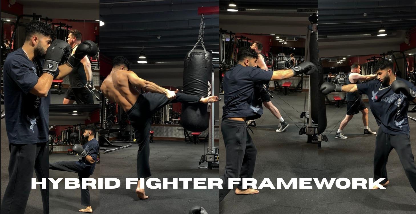 Hybrid Fighter Framework