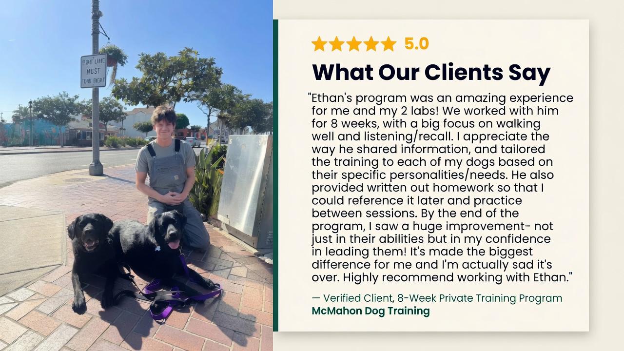 Ethan McMahon Trainer Academy