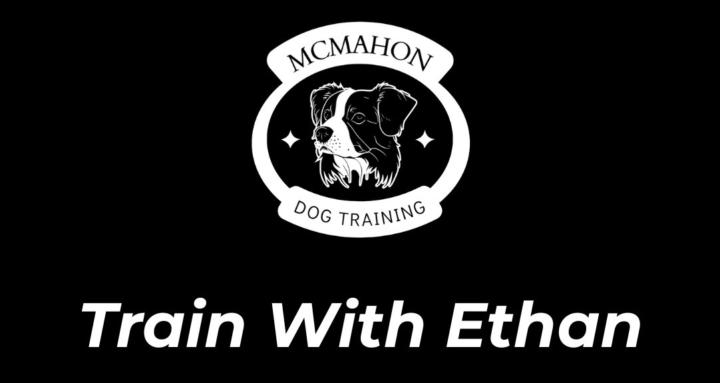McMahon Dog Training