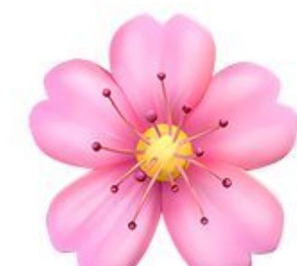 Hailey Reede Dentmakersmaysixteentwentyfive Reede