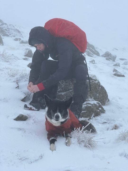 Louis Paul Schofield