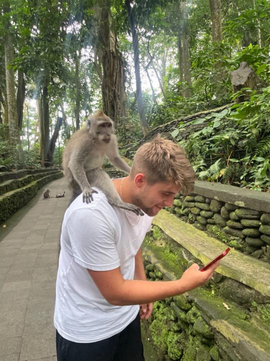 Luke Allvey