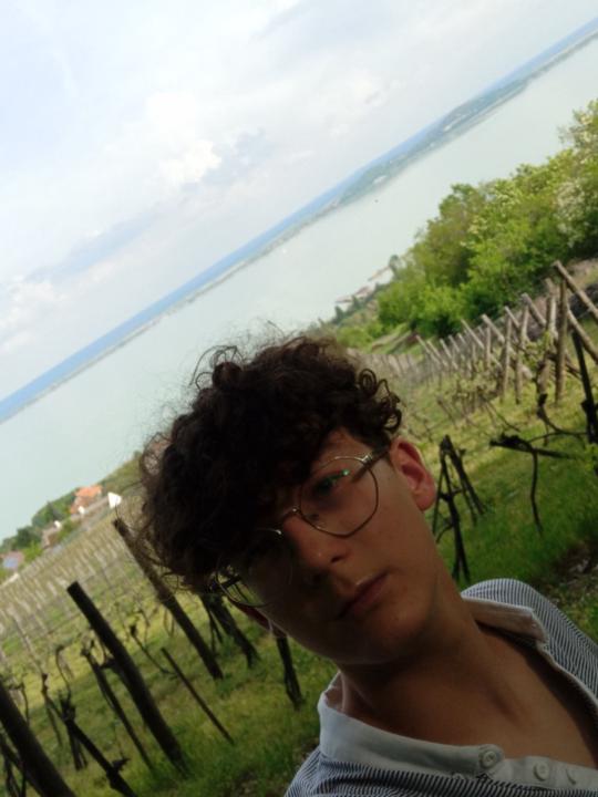 Andor Bethlendi