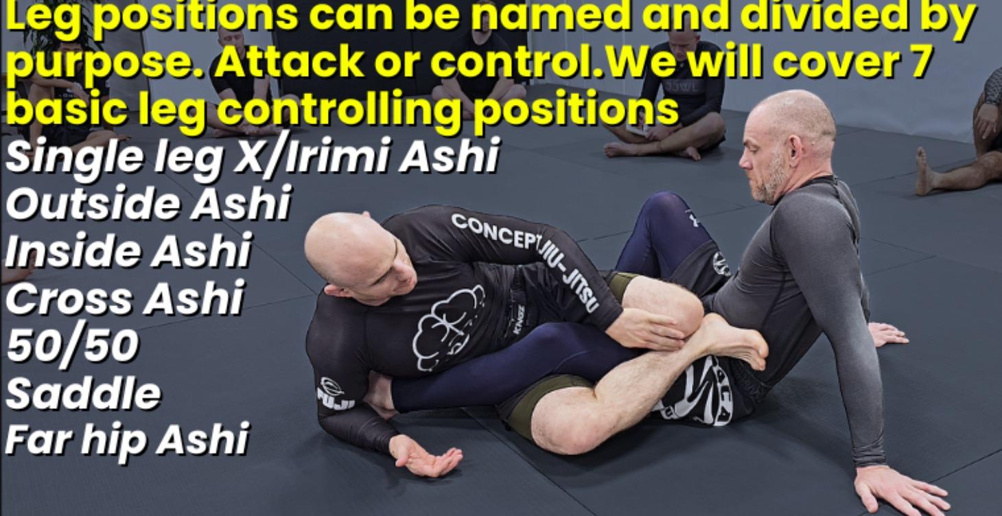 FREE Leg Control Positions - Overview