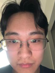 Andrew Yang