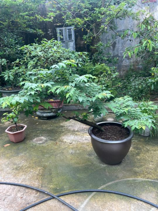 Bùi Thanh Bùi Thanh