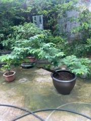 Bùi Thanh Bùi Thanh