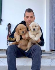 Max Sigismondi