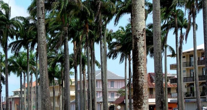 My Life in Guyane