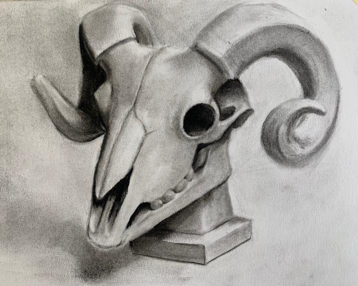 Ram scull phase 1