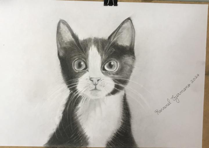 cat drawing done ✅