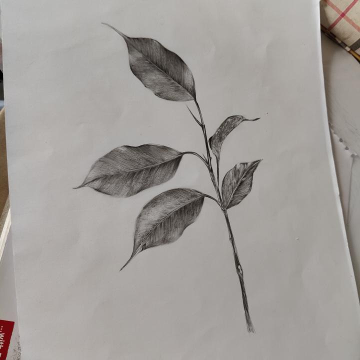 My first post 